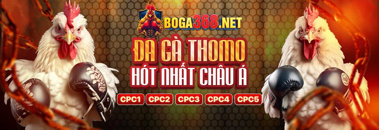 Đá gà trực tuyến clup88 - Sân đấu kịch tính