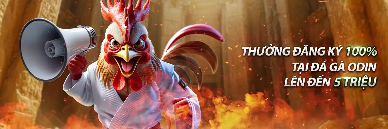 Hình ảnh tài nguyên clup88, hướng dẫn cá cược toàn diện